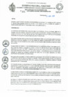 Vista preliminar de documento REA 325.pdf