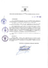 Vista preliminar de documento RER N° 675-2021