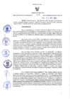 Vista preliminar de documento RER N° 715-2021