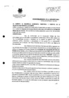 Vista preliminar de documento Resolución Gerencial