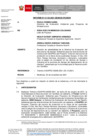 Vista preliminar de documento Informe_01135_2021_SENACE_PE_DEIN.pdf