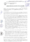 Vista preliminar de documento RESOLUCIÓN DE ALCALDÍA N° 0141-2019/MPS