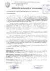 Vista preliminar de documento RESOLUCIÓN DE ALCALDÍA N° 0293-2019/MPS