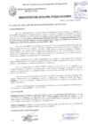 Vista preliminar de documento RESOLUCIÓN DE ALCALDÍA N° 0295-2019/MPS