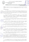 Vista preliminar de documento RESOLUCIÓN DE ALCALDÍA N° 0290-2019/MPS