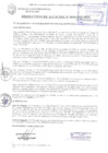 Vista preliminar de documento RESOLUCIÓN DE ALCALDÍA N° 0410-2019/MPS