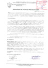 Vista preliminar de documento RESOLUCIÓN DE ALCALDÍA N° 0738-2019/MPS