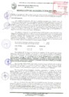 Vista preliminar de documento RESOLUCIÓN DE ALCALDÍA N° 0734-2019/MPS