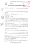 Vista preliminar de documento RESOLUCIÓN DE ALCALDÍA N° 0907-2019/MPS