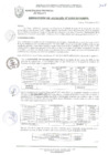 Vista preliminar de documento RESOLUCIÓN DE ALCALDÍA N° 1038-2019/MPS