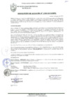 Vista preliminar de documento RESOLUCIÓN DE ALCALDÍA N° 1095-2019/MPS
