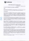 Vista preliminar de documento ra0029-2020-mdpp