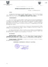 Vista preliminar de documento DEA0004-2011