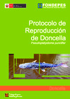 Vista preliminar de documento Protocolo de Doncella