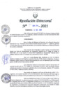 Vista preliminar de documento RD Nº0409-2021.pdf