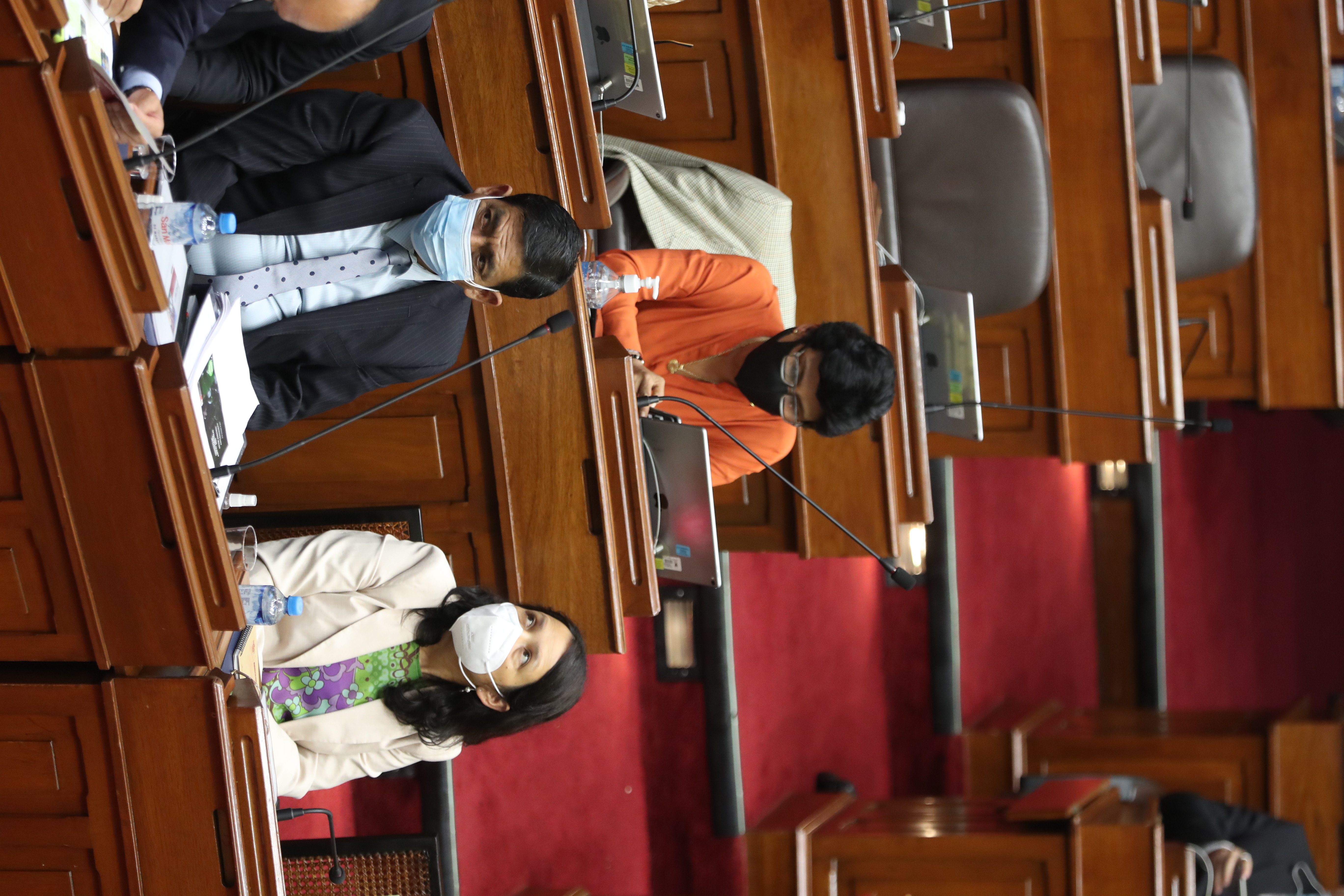 Anahí Durand en el Congreso de la República
