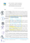 Vista preliminar de documento RESOLUCION GERENCIAL N°001-2021-GSCSC-MDSB.pdf