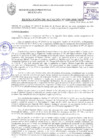 Vista preliminar de documento RESOLUCIÓN DE ALCALDÍA N° 0219-2018/MPS