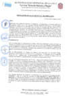 Vista preliminar de documento RES-ALC-211-2021