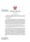 Vista preliminar de documento 1035-2021-IN