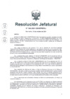 Vista preliminar de documento RESOLUCIÓN JEFATURAL