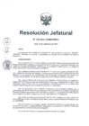 Vista preliminar de documento RESOLUCIÓN JEFATURAL