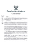 Vista preliminar de documento RESOLUCIÓN JEFATURAL