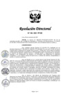 Vista preliminar de documento RD 196-2021-TP-DE.pdf