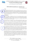Vista preliminar de documento RES-ALC-217-2021