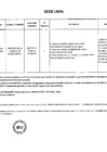 Vista preliminar de documento Base