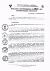 Vista preliminar de documento RESO 429-2021 RE.pdf