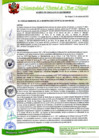 Vista preliminar de documento acuerdo de consejo N°11-2021.pdf