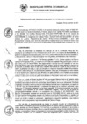Vista preliminar de documento RG_530-2021.pdf