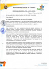 Vista preliminar de documento Ordenanza municipal