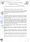 Vista preliminar de documento Ordenanza municipal