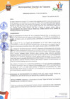 Vista preliminar de documento Ordenanza municipal