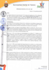 Vista preliminar de documento Ordenanza municipal