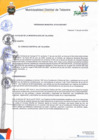 Vista preliminar de documento Ordenanza municipal