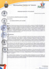 Vista preliminar de documento Ordenanza municipal