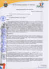 Vista preliminar de documento Ordenanza municipal