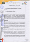 Vista preliminar de documento Ordenanza municipal