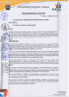 Vista preliminar de documento Ordenanza municipal