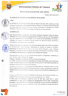 Vista preliminar de documento Resolución de alcaldía