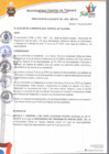 Vista preliminar de documento Resolución de alcaldía