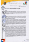 Vista preliminar de documento Resolución de alcaldía