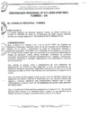 Vista preliminar de documento ORDENANZA REGIONAL_011_2009