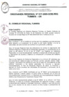Vista preliminar de documento ORDENANZA REGIONAL_017_2009