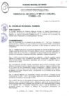 Vista preliminar de documento ORDENANZA REGIONAL_009_2011