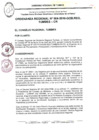 Vista preliminar de documento ORDENANZA REGIONAL_004_2010