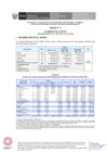 Vista preliminar de documento Anexo 01